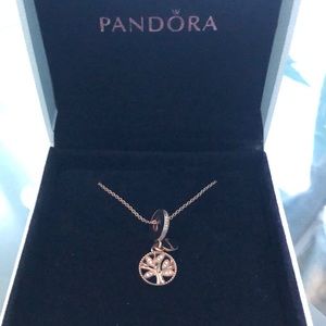 Rose Gold Pandora Family Necklace